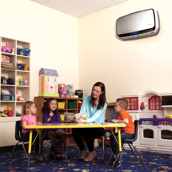 Fellowes AeraMax Pro AM4 Purificador de Aire con Filtro HEPA